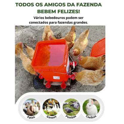 Bebedouro Automático para Aves - ÚLTIMAS UNIDADES NA PROMOÇÃO 🔥
