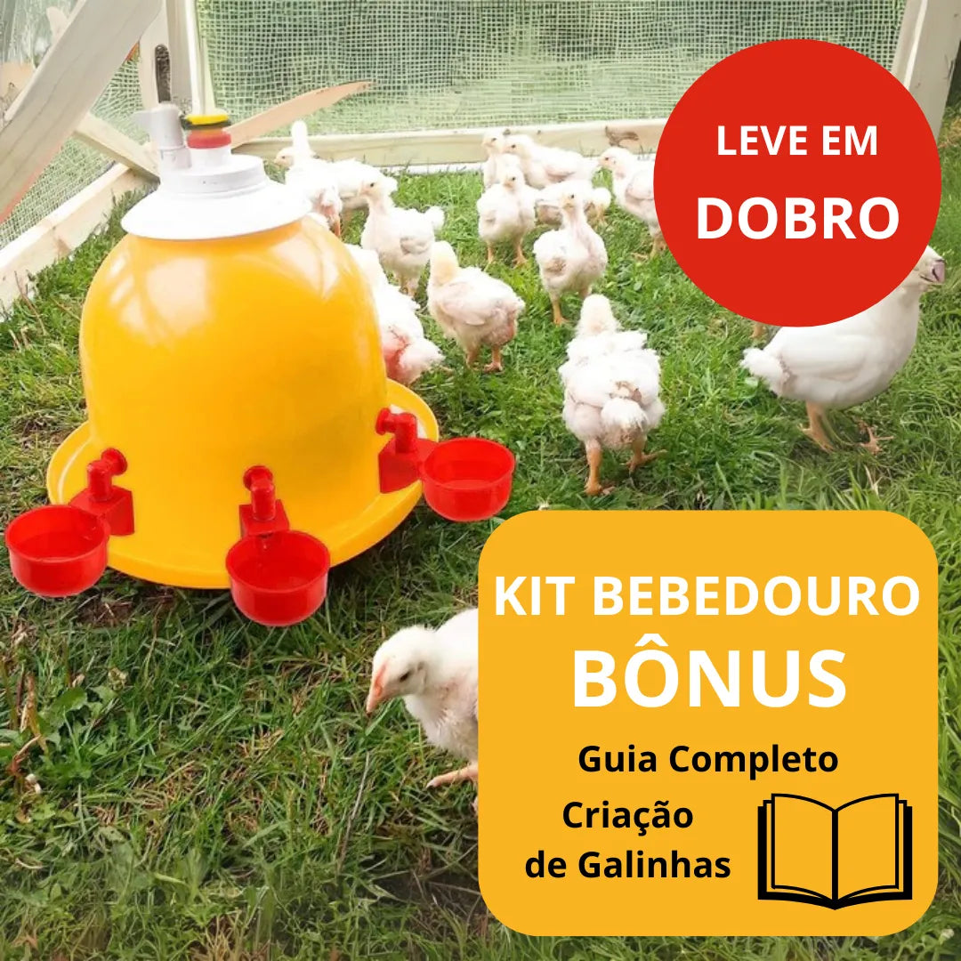 Bebedouro Automático para Aves - ÚLTIMAS UNIDADES NA PROMOÇÃO 🔥