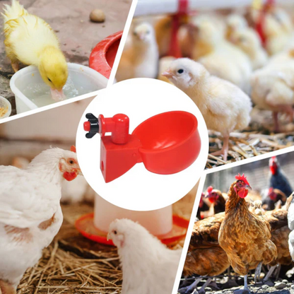 Bebedouro Automático para Aves - ÚLTIMAS UNIDADES NA PROMOÇÃO 🔥
