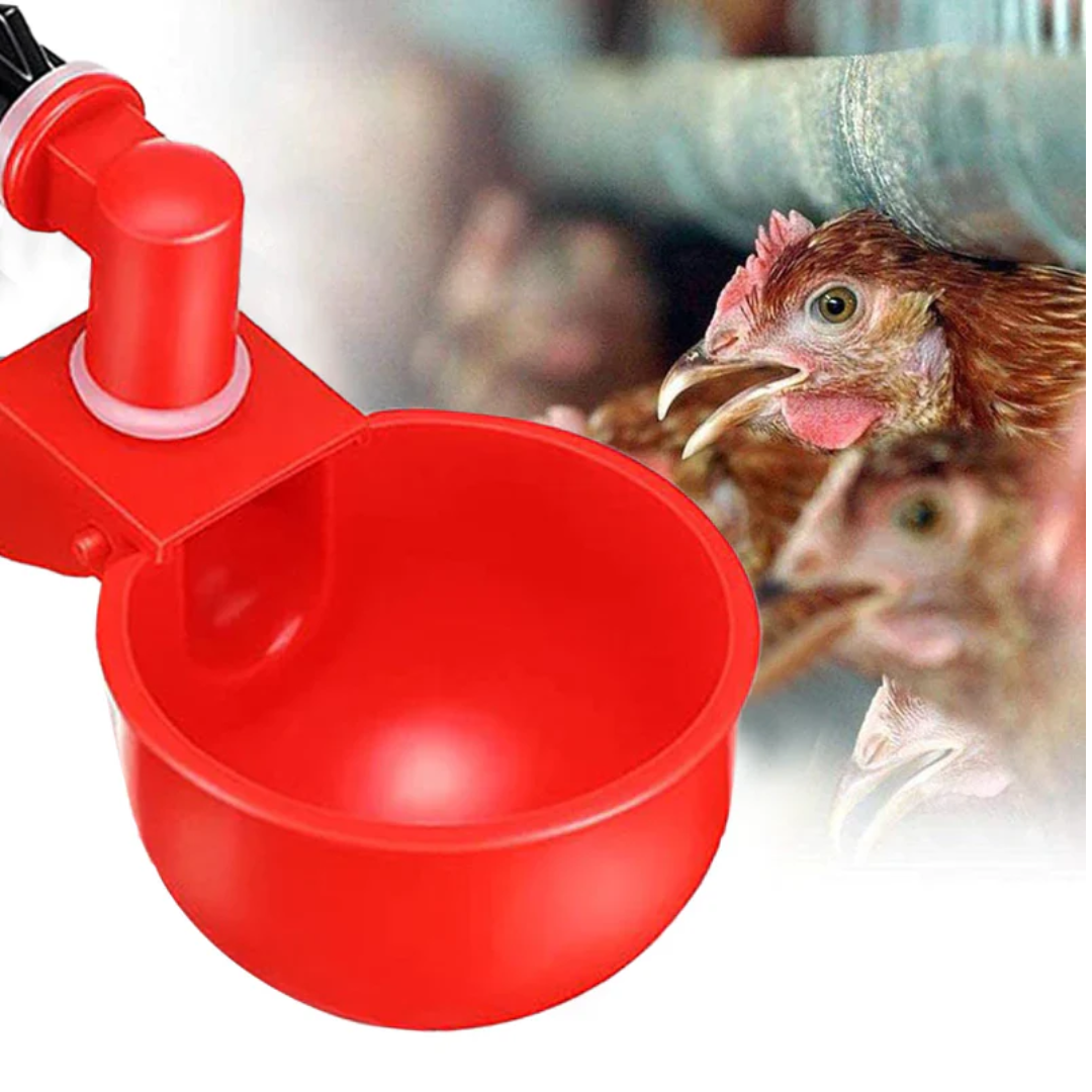 Bebedouro Automático para Aves - ÚLTIMAS UNIDADES NA PROMOÇÃO 🔥